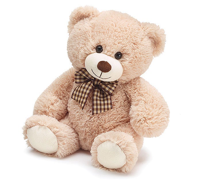 Teddy Bear, Promoted to Big Sister, Pregnancy Announcement, Big  Sister Gift,